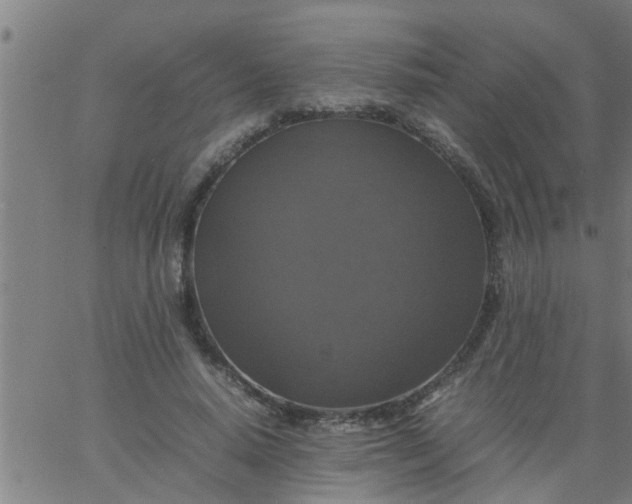 X0000066540640200603311846