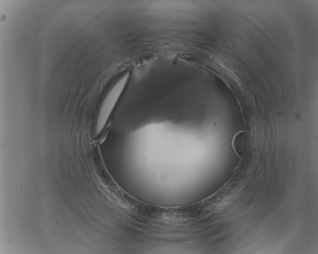 X0000066540641200603311846