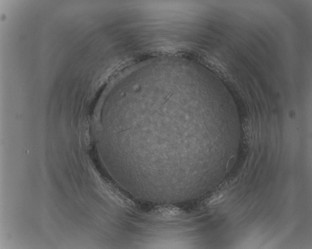 X0000066540642200603311846