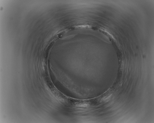 X0000066540643200603311846