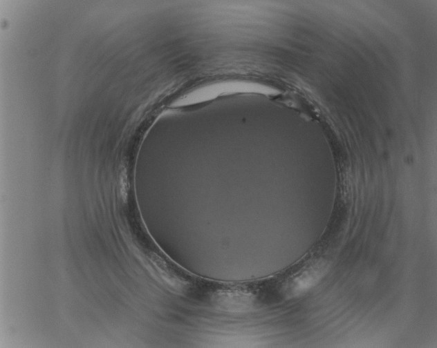 X0000066540644200603311846