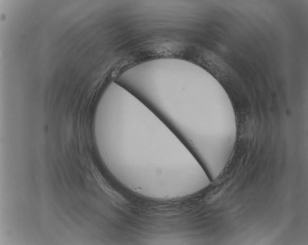 X0000066540646200603311846