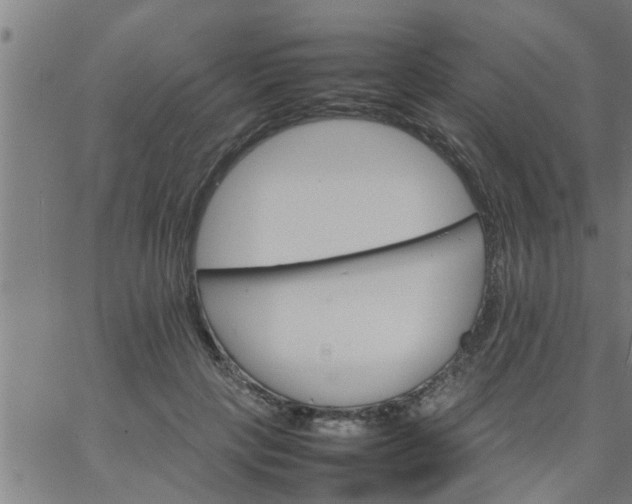 X0000066540649200603311846