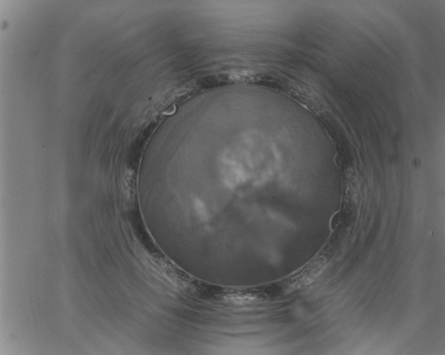 X0000066540650200603311846