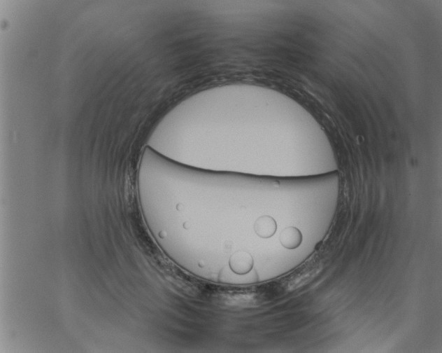 X0000066540651200603311846