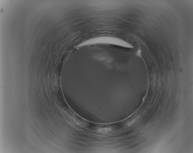 X0000066540653200603311846