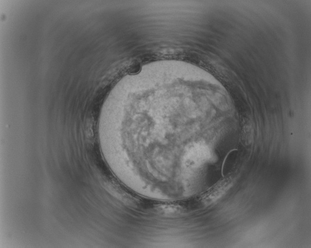 X0000066540654200603311846