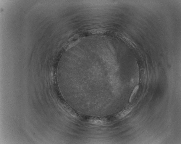 X0000066540655200603311846