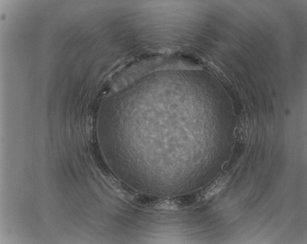 X0000066540656200603311846