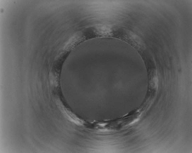 X0000066540658200603311846