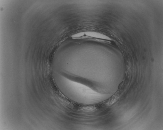 X0000066540659200603311846