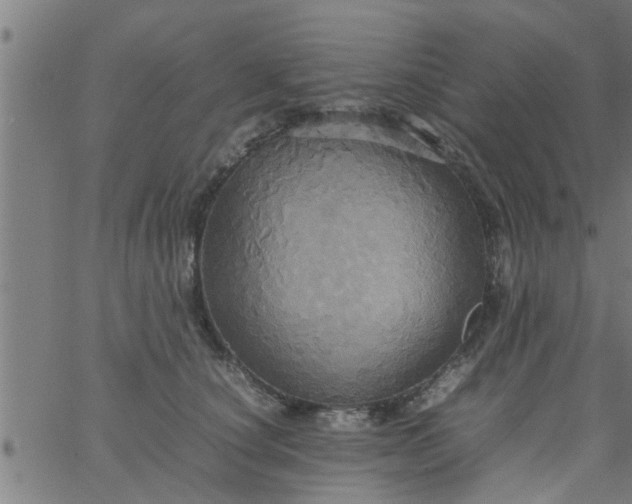 X0000066540660200603311846