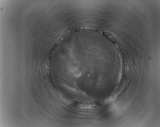 X0000066540661200603311846