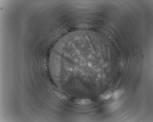 X0000066540663200603311846