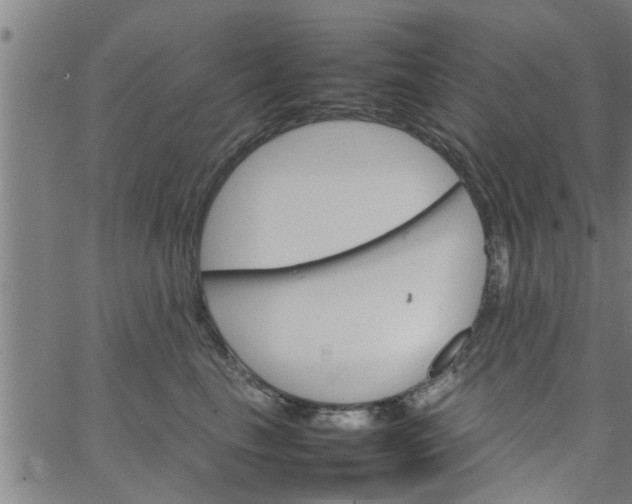 X0000066540665200603311846