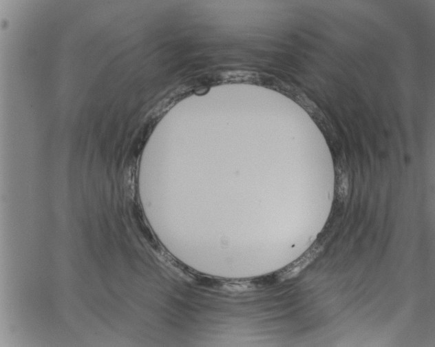 X0000066540666200603311846