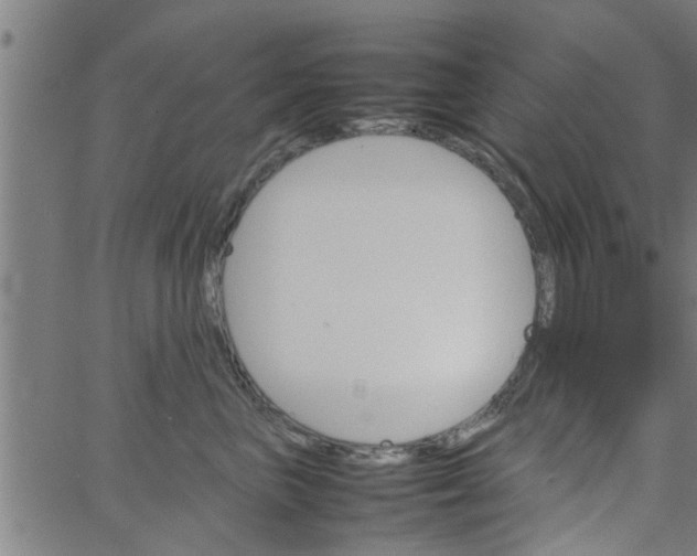 X0000066540667200603311846