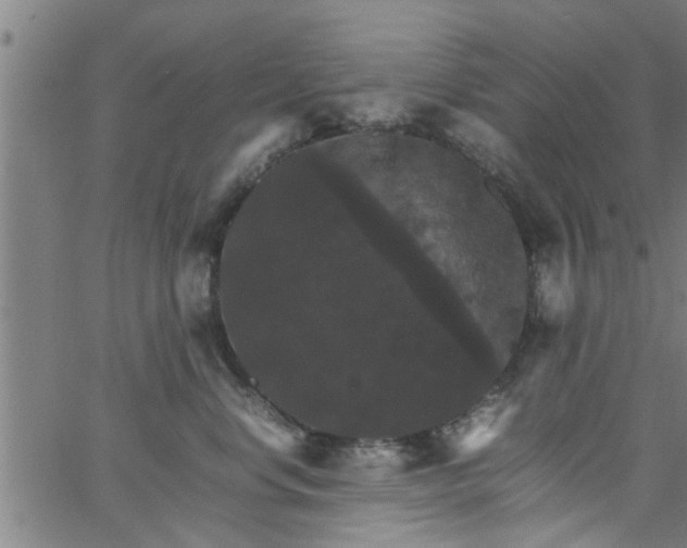 X0000066540668200603311846