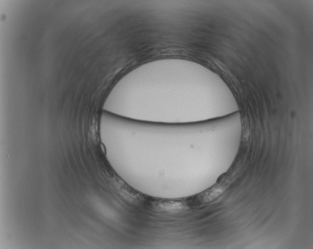 X0000066540669200603311846