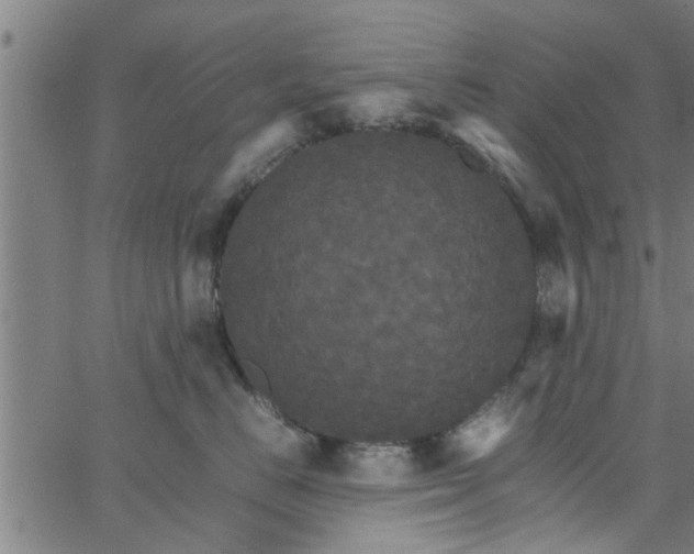 X0000066540670200603311846