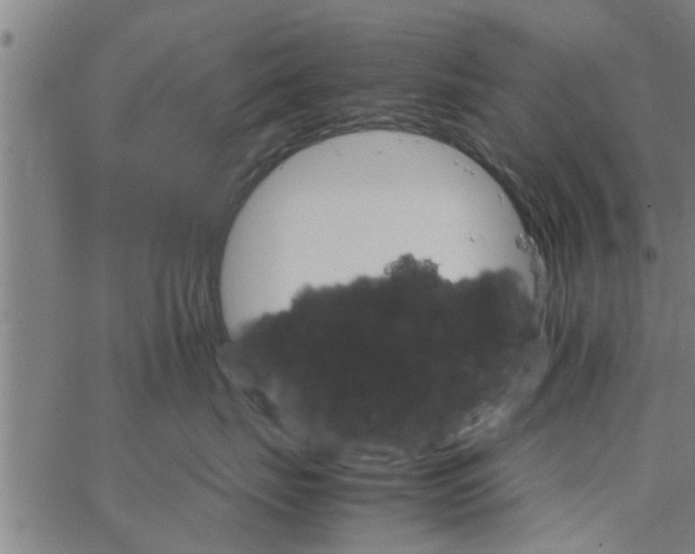 X0000066540671200603311846