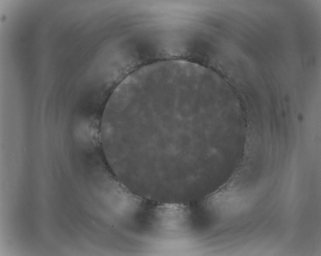 X0000066540672200603311846