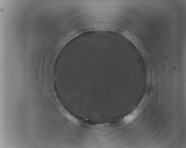 X0000066540673200603311846