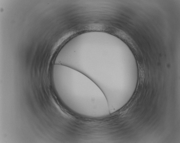 X0000066540674200603311846