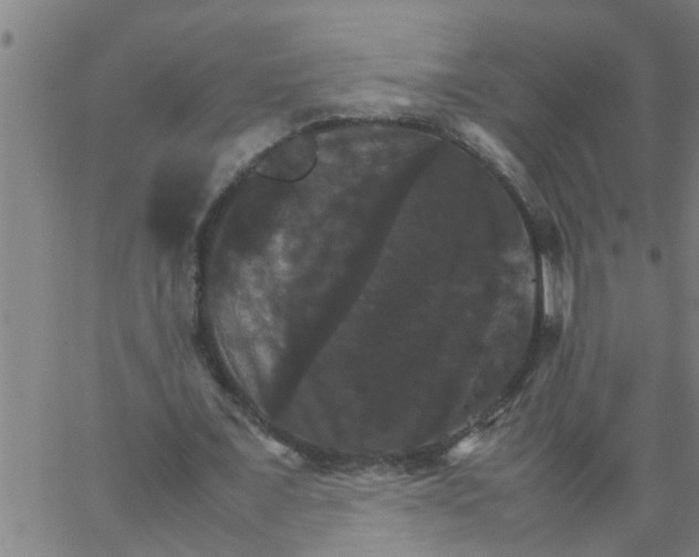 X0000066540675200603311846