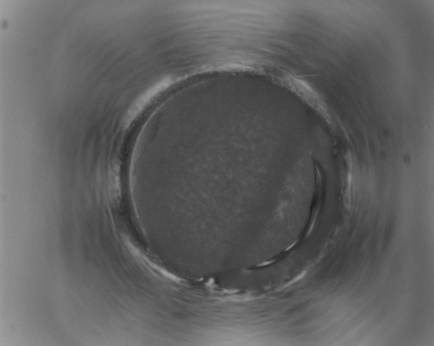 X0000066540676200603311846