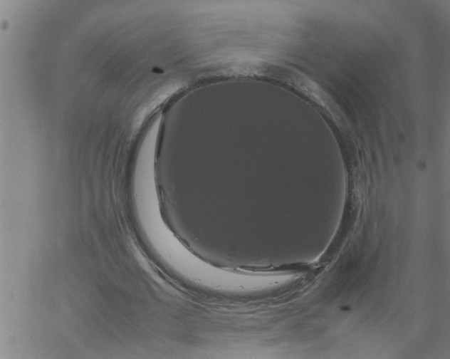 X0000066540677200603311845