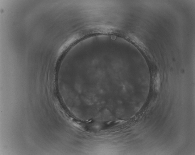 X0000066540679200603311845