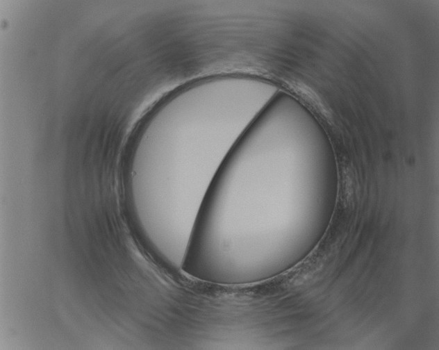 X0000066540680200603311845