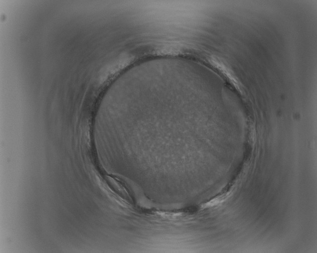 X0000066540681200603311845