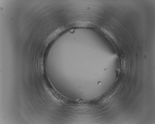 X0000066540682200603311845