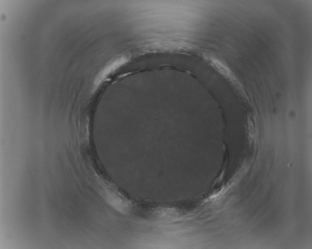 X0000066540685200603311845