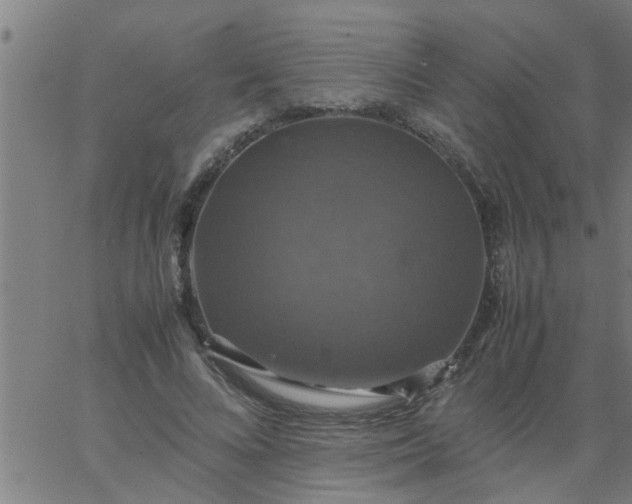 X0000066540688200603311845