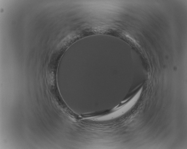 X0000066540689200603311845