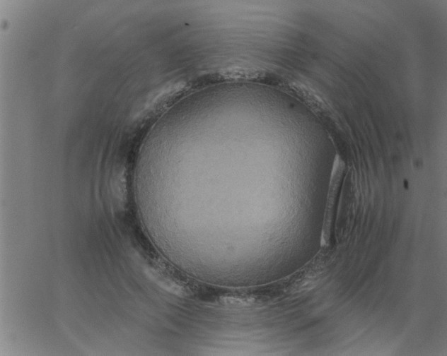 X0000066540690200603311845