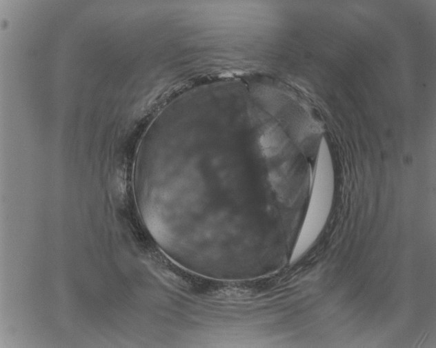 X0000066540691200603311845