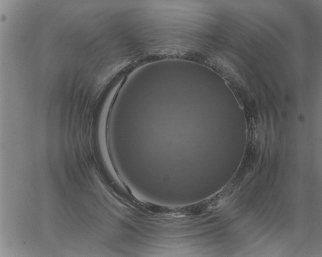 X0000066540692200603311845