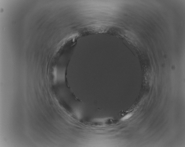 X0000066540693200603311845