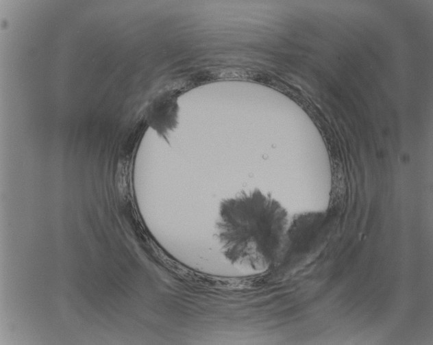 X0000066540695200603311845