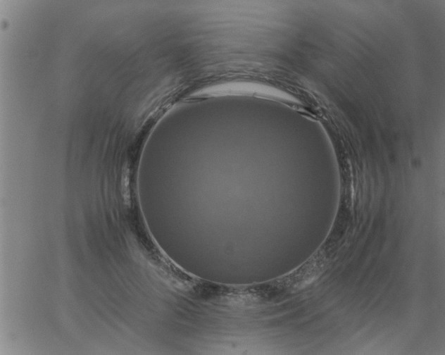 X0000066540696200603311845