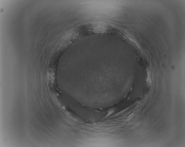 X0000066540697200603311845