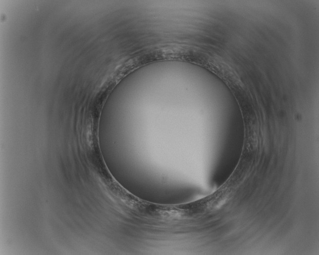 X0000066540698200603311845