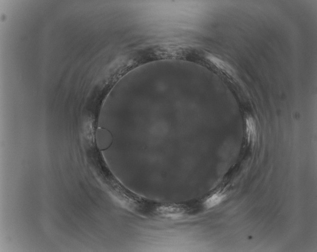 X0000066540699200603311845