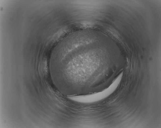 X0000066540700200603311845