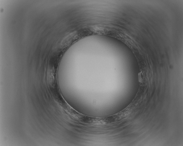 X0000066540702200603311845