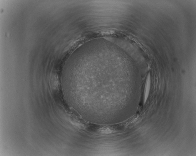 X0000066540704200603311845